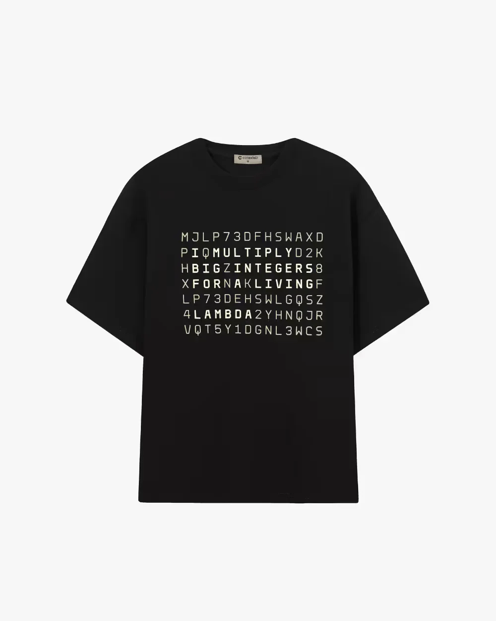 Lambda T-shirt — front view