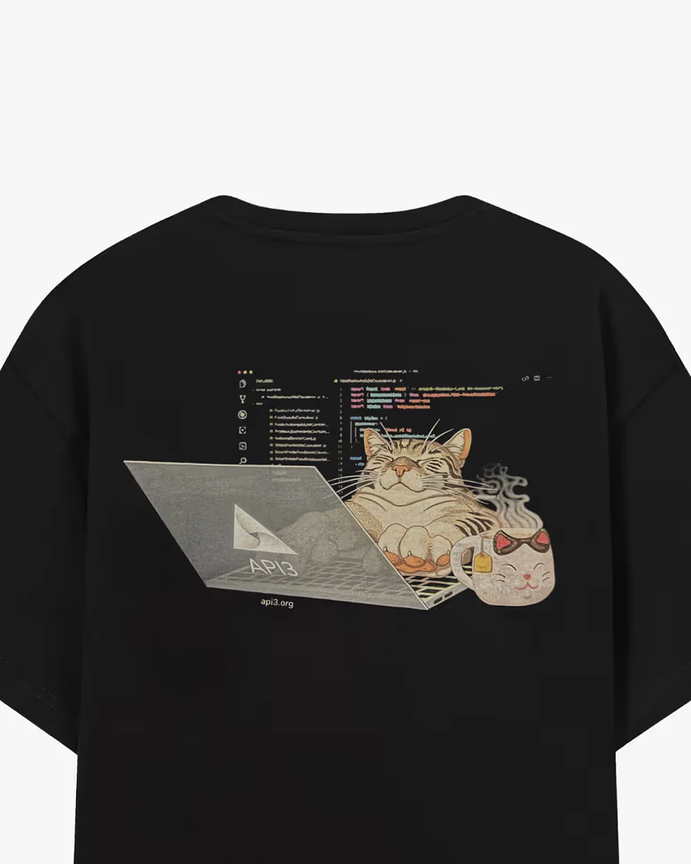 Api3 T-shirt — back view